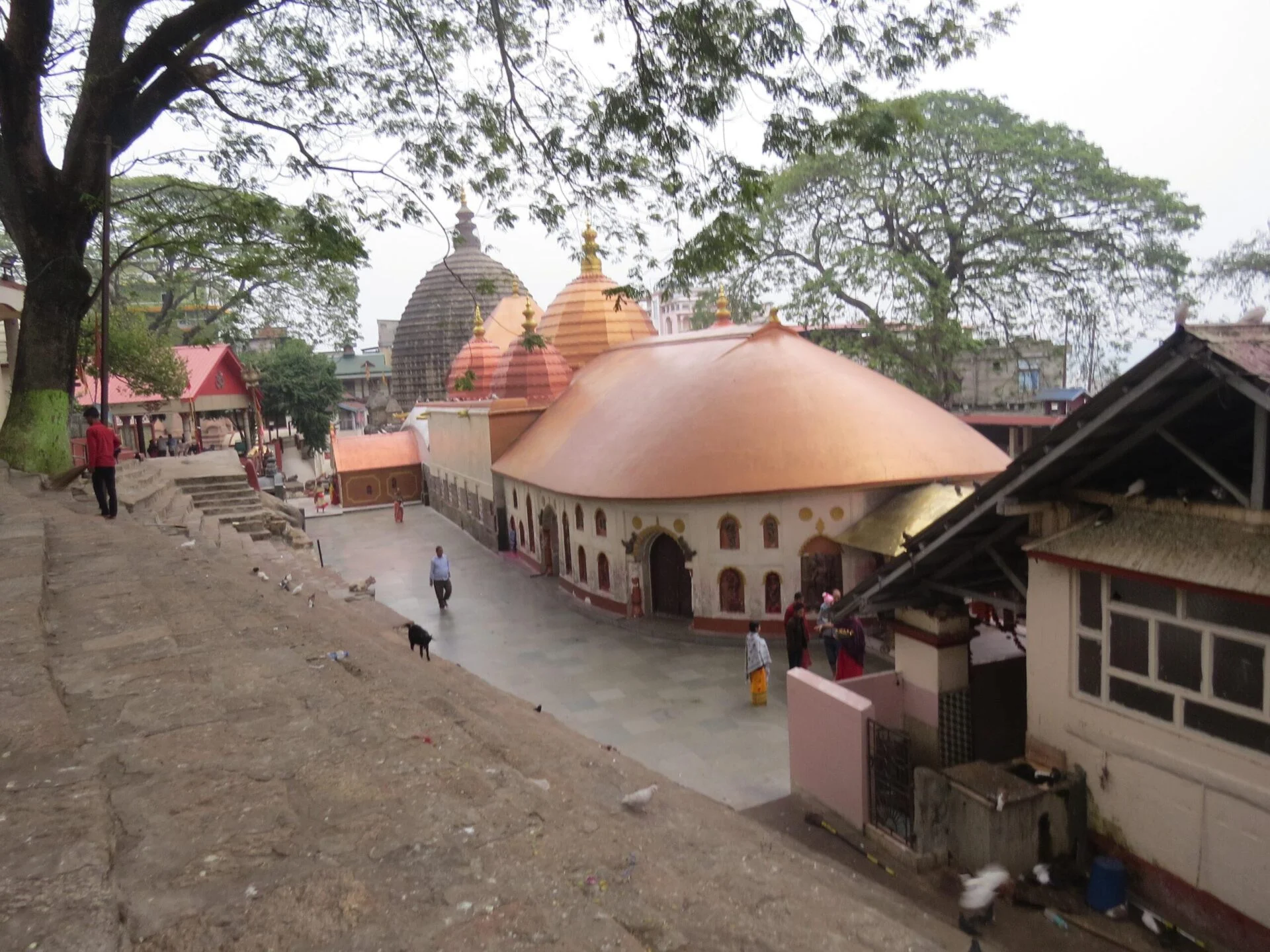 North East 3 Shaktipeeth Tour – 3N 4D Ex Guwahati 2 Kamakhya Maa - Adi Shaktipeeth